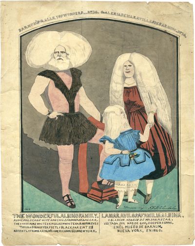 Barnum’s Gallery of Wonders