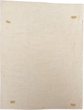 Paired, Not Matched reverse view