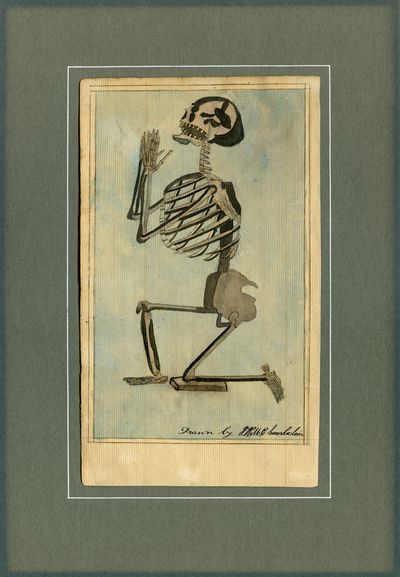 Skeleton