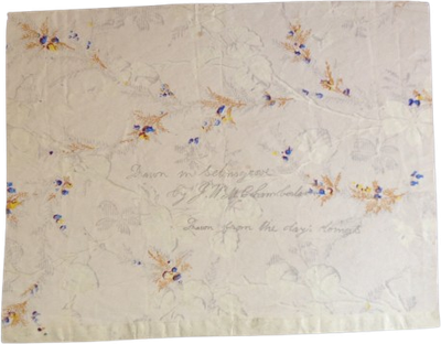 Woman boxer reverse view